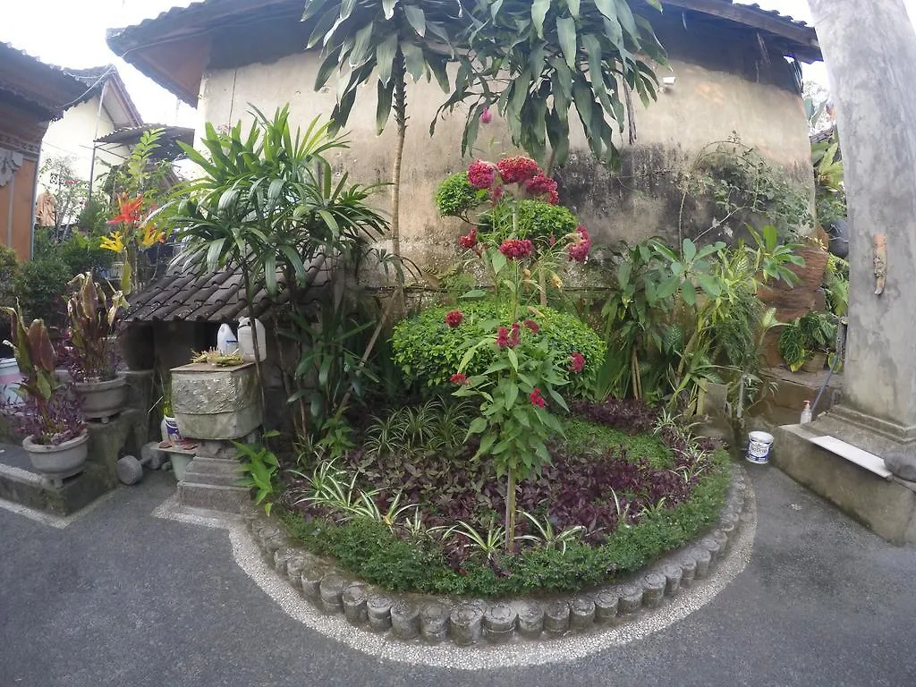 Guest house Pancer House Hotel Ubud  Indonesia