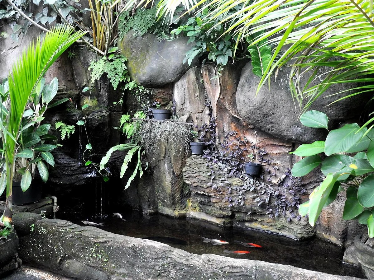 Guest house Pancer House Hotel Ubud  Indonesia